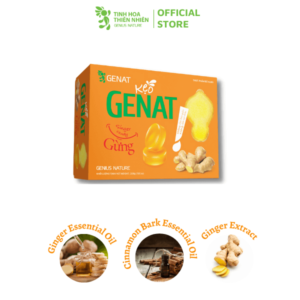 Genat Ginger Candy (box 100 Candies) (4)