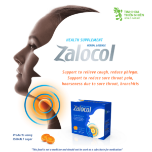 Zalocol Herbal Lozenges (box 20 Lozenges) Support To Relieve Cough, Reduce Phlegm And Reduce Sore Throat Pain, Hoarseness Due To Sore Throat, Bronchitis (3)