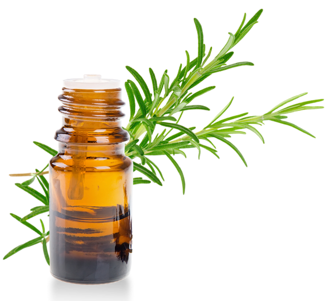 Romarin Cineole Huile Essentielle E1510534907654
